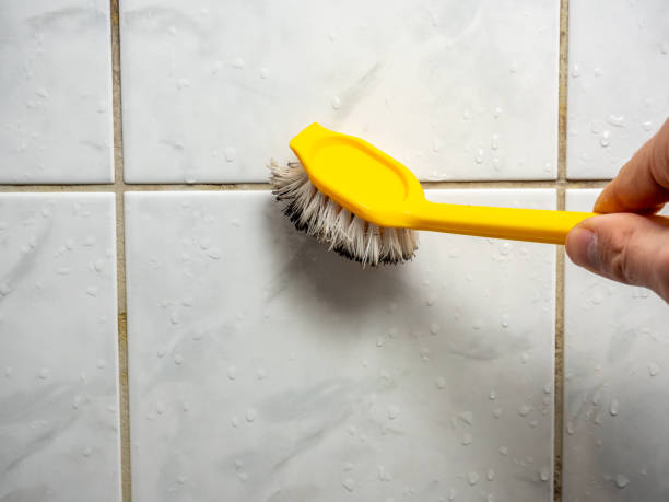 Best Same-Day Mold Removal  in Lancaster, KY