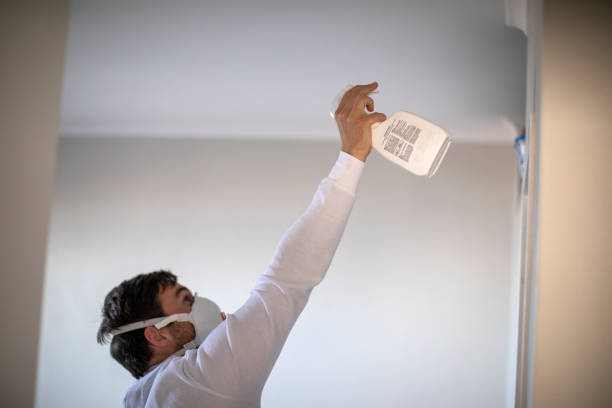 Best Attic Mold Removal  in Lancaster, KY