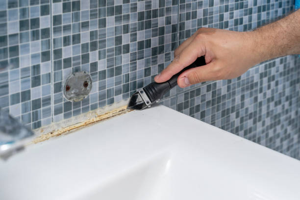 Best Mold Remediation Experts  in Lancaster, KY