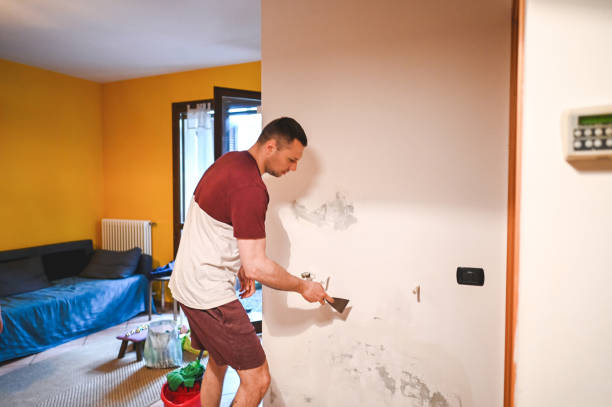 Best Affordable Mold Removal  in Lancaster, KY